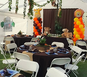 Ocotlan Party Rentals