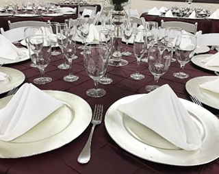 Ocotlan Party Rentals