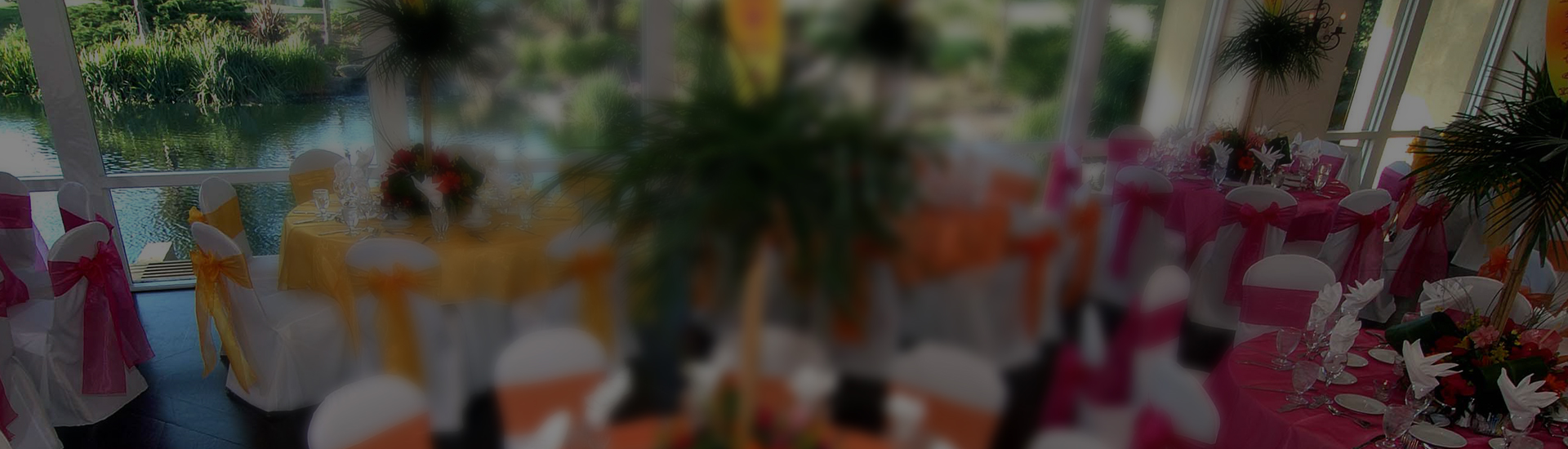 Ocotlan Party Rentals
